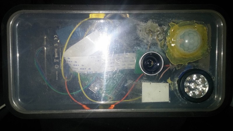 Wildlife Camera